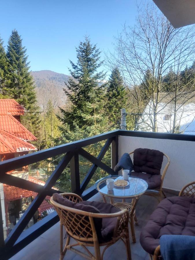 Casa Larisa - Wolves Apartment Сіная Екстер'єр фото