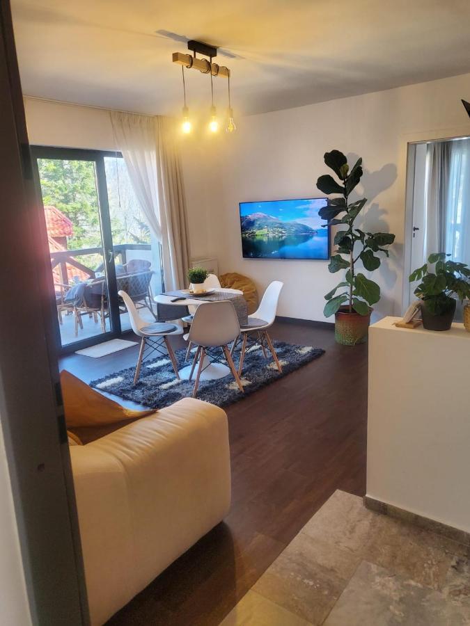Casa Larisa - Wolves Apartment Сіная Екстер'єр фото
