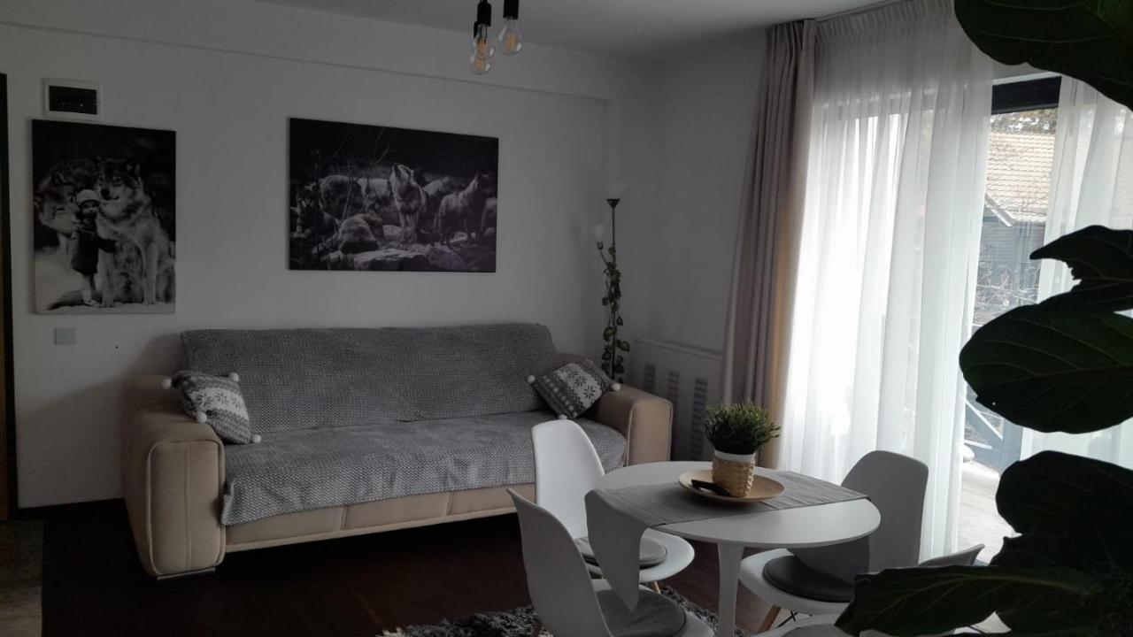 Casa Larisa - Wolves Apartment Сіная Екстер'єр фото