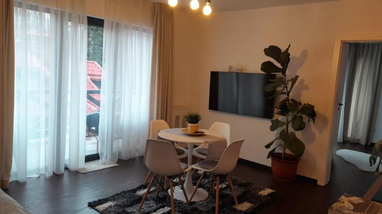Casa Larisa - Wolves Apartment Сіная Екстер'єр фото